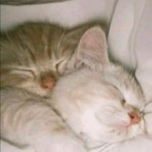 Meet your Posher, Tu